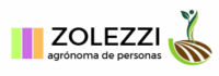 zolezzi.cl